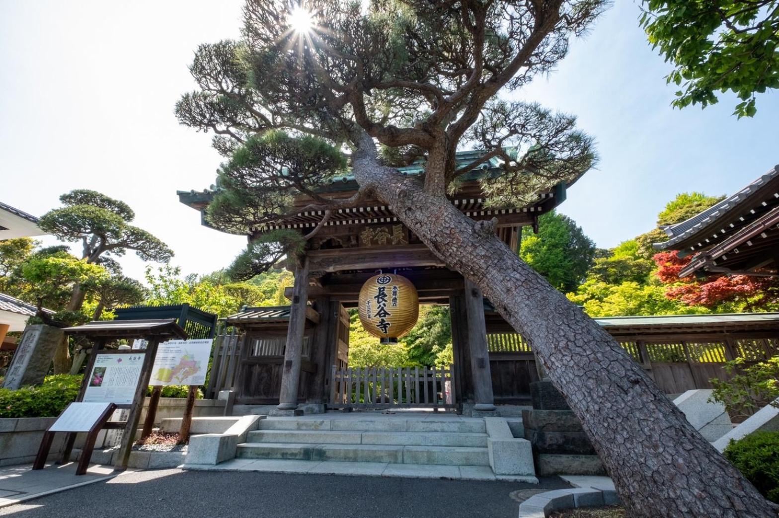 Japanese Modern Inn 鎌倉楽庵ハナレ Камакура Экстерьер фото